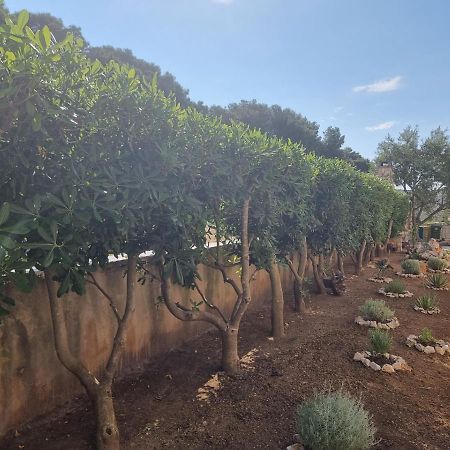 Apartmani Nena Povljana Εξωτερικό φωτογραφία